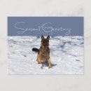Recherche de berger allemand joyeux cartes postales Vacances