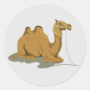Recherche de dessin de chameau autocollants Mammifère