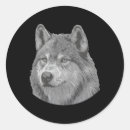 Recherche de loups blancs autocollants Portrait de loup