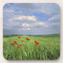 Recherche de coquelicot dessous de verres Vert