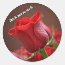 Recherche de red rose autocollants Fleurs