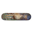 Recherche de guépard skateboards Chat