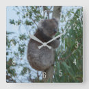 Recherche de koala chambre enfant horloges Australie