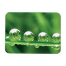 Recherche de herbe magnets Élégant