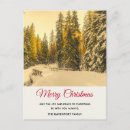 Recherche de sapin de noël cartes postales Neige