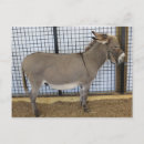 Recherche de animaux de basse cour cartes postales Animal