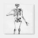 Recherche de humain magnets Os