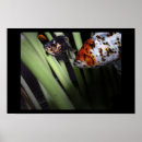 Recherche de poissonnerie art Échelles