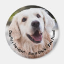 Recherche de chien magnets Amoureux des chiens