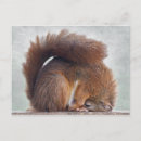 Recherche de humour de yoga cartes postales Animal