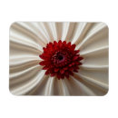 Recherche de écran magnets Pour eux