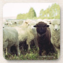 Recherche de la zélande dessous de verres Blanc