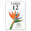 Recherche de floral mariage table cartes Élégant