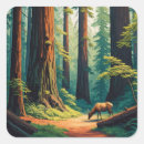 Recherche de forêt de séquoia autocollants Travel