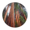 Recherche de couleurs américaines planches à découper Californie