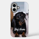 Recherche de dachshund dog iphone coques Chiot