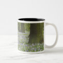 Recherche de jacinthe tasses Arbre