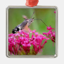 Recherche de papier ornements Mouche