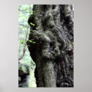 Recherche de nymphe posters Photographie