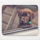 Recherche de chocolat labrador tapis souris Cute