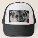 Recherche de carlin noir casquettes Animal