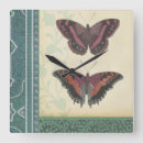 Recherche de studio horloges Insectes