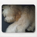 Recherche de somnolent tapis souris Sommeil