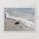Recherche de plage de coquillages cartes postales Floride