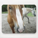 Recherche de cheval sauvage tapis souris Pays