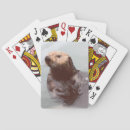 Recherche de loutre jeux de cartes Loutres de mer
