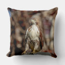 Recherche de buse coussins Faune