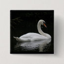 Recherche de cygnes badges Blanc