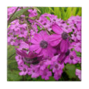 Recherche de fleur violette carreaux Jardin