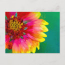 Recherche de couverture indienne posters Roue de feu