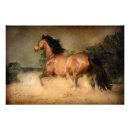 Recherche de étalon sauvage posters Équin