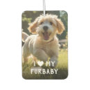 Recherche de chien drôle voiture accessoires Do it yourself