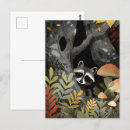 Recherche de ratons laveurs cartes postales Toute personne