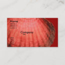 Recherche de arénacé cartes visite Sable