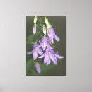 Recherche de cinq impressions sur toile Fleurs