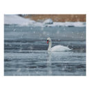 Recherche de mer baltique posters Nature