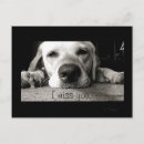 Recherche de mademoiselle cartes postales Chien