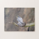 Recherche de pèlerin puzzles Faune