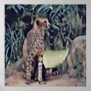 Recherche de jaguar art Peinture