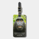Recherche de souriant accessoires Singe