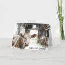Recherche de coqs vœux cartes Drôle