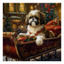 Recherche de tzu posters Amoureux de les chiens