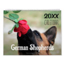 Recherche de berger bureau fournitures Chien
