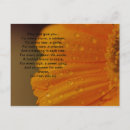 Recherche de gaélique cartes postales Irish