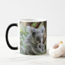 Recherche de ours de koala drôle tasses Pour tous