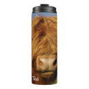 Recherche de veau de vache tasses Bétail